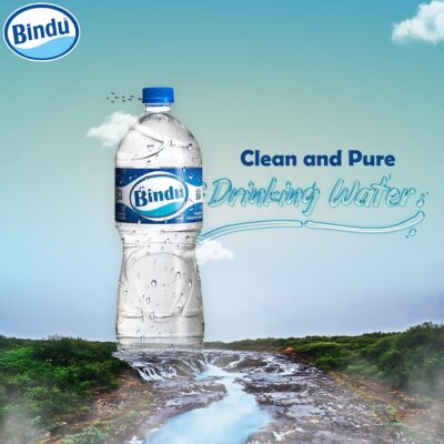 Bindu Drinking Water, 1L PET Bottle (12 Pcs)