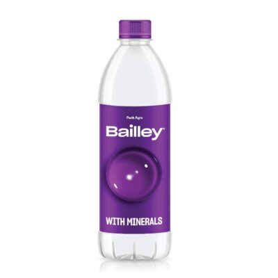 Bailley Packaged Drinking Water, 500 ml (24 Pcs)